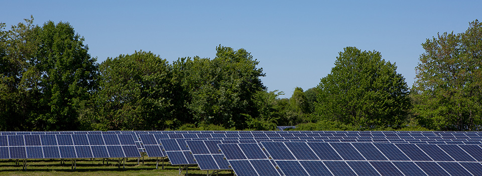 Pesco solar farm